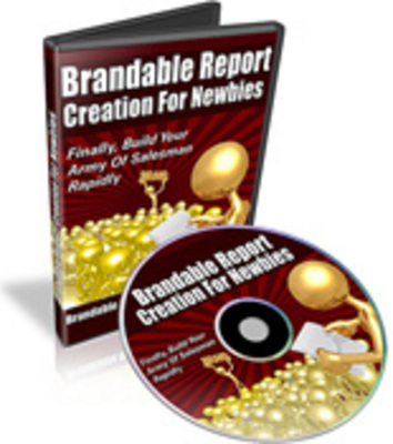 Product picture Brandable Report Creation for Newbies