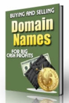 Product picture Buying and Selling Domain Names