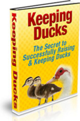 Product picture Keeping Ducks