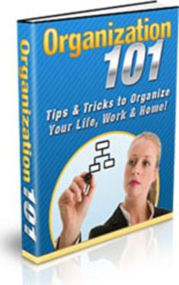 Product picture Organization 101